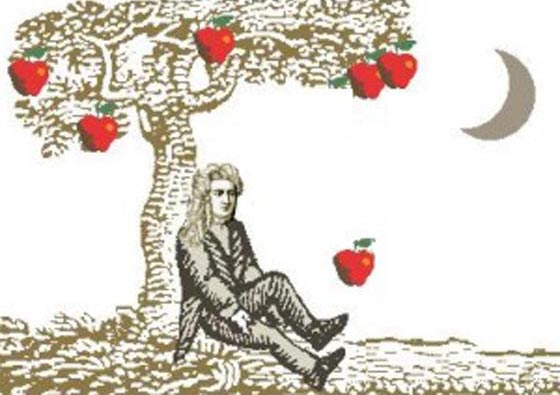 في القرن الـ21.. واعظ اماراتي يزعم ان الأرض ثابتة ولا تدور.. شاهد الفيديو صورة رقم 3