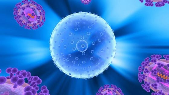  ظهور نوع جديد من الايدز في كوبا اشد فتكا بالبشرية صورة رقم 2