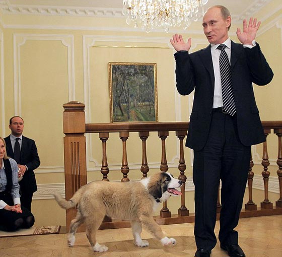 الوجه الاخر لبوتين.. كسول يستهين بزملائه ويضرب زوجته يوميا صورة رقم 5