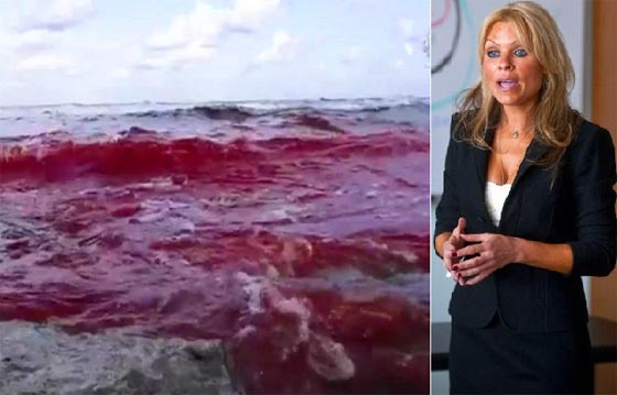 خبيرة إرهاب: فيديو ذبح المصريين فيه هفوات تقنية ويبدو مفبركا صورة رقم 5