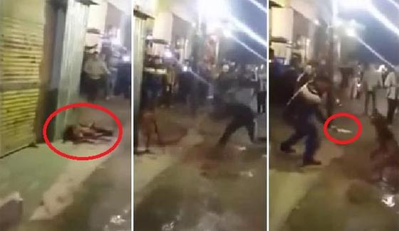  القبض على أصحاب في تعذيب الكلب وذبحه المثير للاستياء بمصر صورة رقم 1