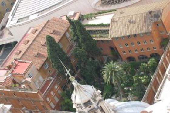 لأول مرة.. مشرّد يدفن في الفاتيكان بين الشخصيات المهمة والكهنة صورة رقم 3