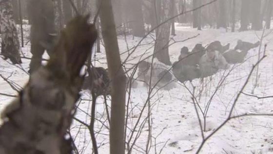 بالصور.. يوم في الوحدات الخاصة الروسية صورة رقم 2