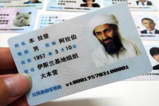 قبل مقتله.. اسامة بن لادن اراد تغيير اسم القاعدة لهذا السبب.. صورة رقم 6 قبل مقتله.. اسامة بن لادن اراد تغيير اسم القاعدة لهذا السبب.. صورة رقم 6