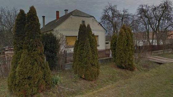 عمدة مجري يعرض قريته للايجار بمبلغ 770 دولار لليوم الواحد!! صورة رقم 2