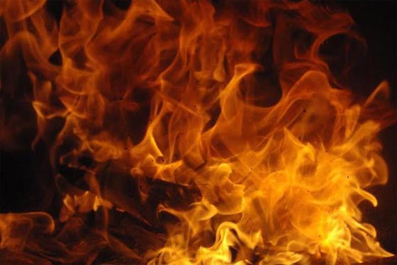 شاب مصري وشقيقته يقتلان والدهما المقعد ويحرقانه لاخفاء الادلة صورة رقم 1 شاب مصري وشقيقته يقتلان والدهما المقعد ويحرقانه لاخفاء الادلة صورة رقم 1