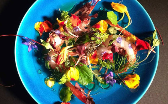 صور افضل مطعم في آسيا : المطعم الهندي صور افضل مطعم في آسيا : المطعم الهندي