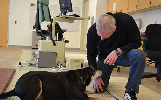الكلب قادر على تشخيص سرطان الغدة لدى الانسان بنسبة عالية صورة رقم 1 الكلب قادر على تشخيص سرطان الغدة لدى الانسان بنسبة عالية صورة رقم 1