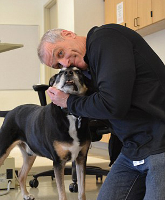 الكلب قادر على تشخيص سرطان الغدة لدى الانسان بنسبة عالية صورة رقم 2 الكلب قادر على تشخيص سرطان الغدة لدى الانسان بنسبة عالية صورة رقم 2