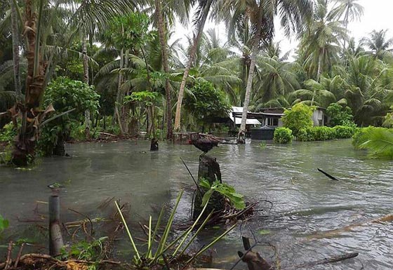  دمار هائل وستة قتلى خلفها اعصار بام في جزيرة فانواتو  صورة رقم 10
