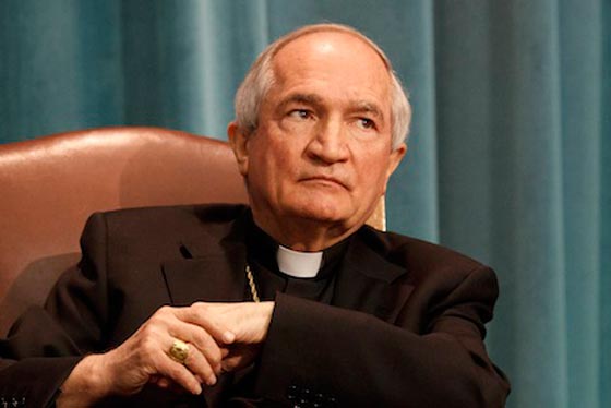 بهذه الطريقة يعتقد الفاتيكان انه يمكن ردع داعش صورة رقم 1 بهذه الطريقة يعتقد الفاتيكان انه يمكن ردع داعش صورة رقم 1