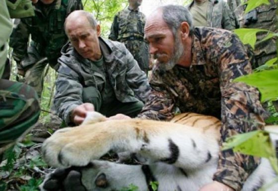 بوتين يهزم الكائنات الفضائية والجلطة الدماغية ويعود ساخرا من الشائعات صورة رقم 5
