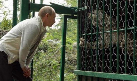 بوتين يهزم الكائنات الفضائية والجلطة الدماغية ويعود ساخرا من الشائعات صورة رقم 8