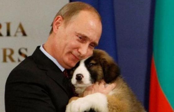 بوتين يهزم الكائنات الفضائية والجلطة الدماغية ويعود ساخرا من الشائعات صورة رقم 15