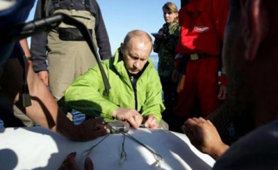 بوتين يهزم الكائنات الفضائية والجلطة الدماغية ويعود ساخرا من الشائعات صورة رقم 18