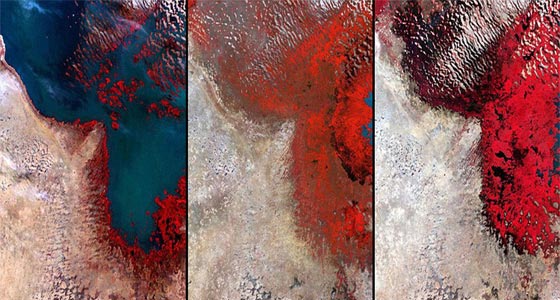 بالصور.. هكذا ظهرت التغيرات على كوكب الارض خلال العقود الاخيرة صورة رقم 9 بالصور.. هكذا ظهرت التغيرات على كوكب الارض خلال العقود الاخيرة صورة رقم 9