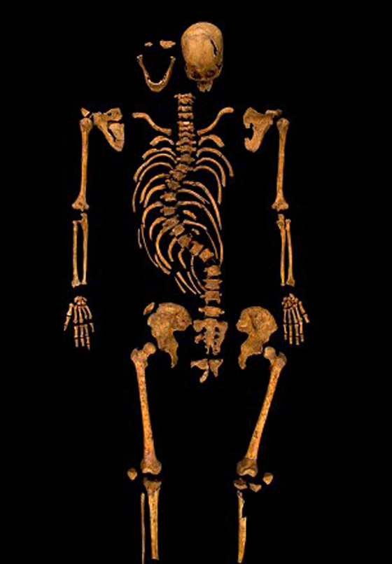 بريطانيا تعيد دفن ملك قتل قبل 530 عاما واكتشفت رفاته تحت موقف سيارات صورة رقم 3 بريطانيا تعيد دفن ملك قتل قبل 530 عاما واكتشفت رفاته تحت موقف سيارات صورة رقم 3