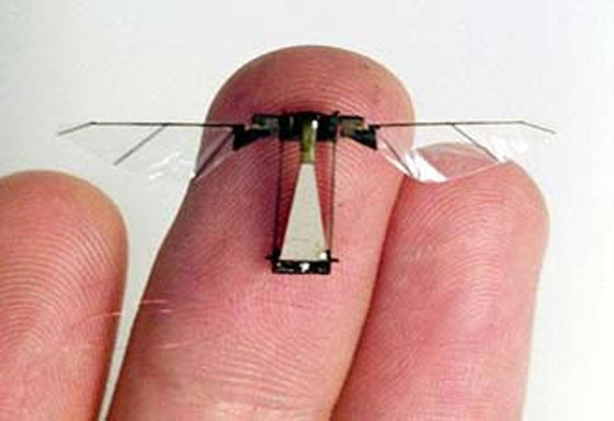 اسرائيل تتجسس على حماس وترصد تحركاتها بحشرات الكترونية!! صورة رقم 1