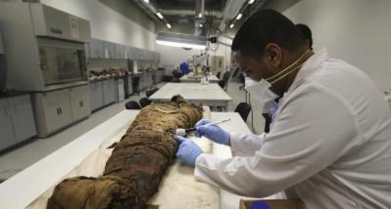 هيكل عظمي لامراة مصرية يكشف عن اقدم ظهور لسرطان الثدي صورة رقم 1