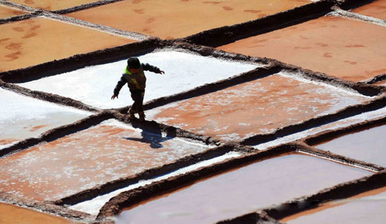 شاهد تلخيص أحداث الأسبوع الأخير في صور صورة رقم 14