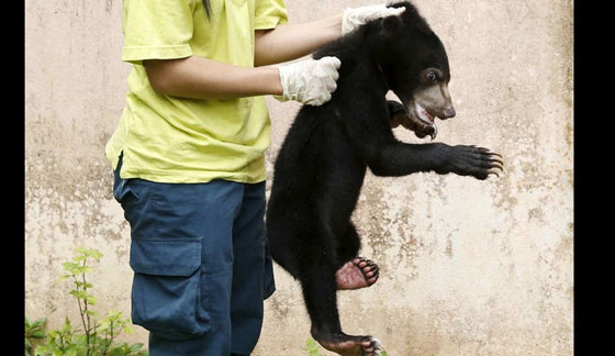 شاهد تلخيص أحداث الأسبوع الأخير في صور صورة رقم 3