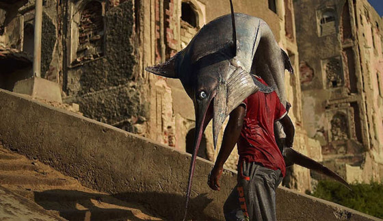 شاهد تلخيص أحداث الأسبوع الأخير في صور صورة رقم 8