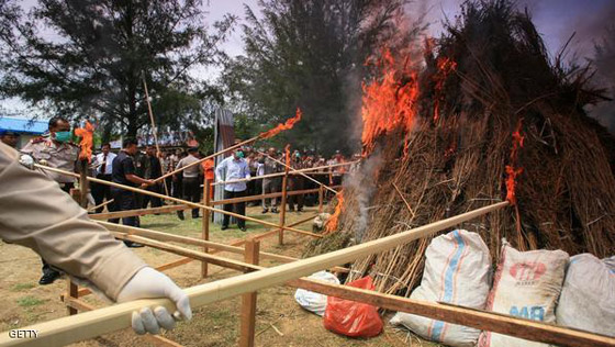 مفارقة عجيبة.. حرق الماريغوانا يدخل النشوة الى بيوت حي كامل!! صورة رقم 2 مفارقة عجيبة.. حرق الماريغوانا يدخل النشوة الى بيوت حي كامل!! صورة رقم 2