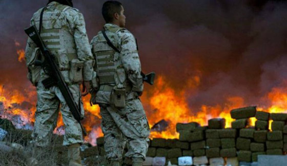 مفارقة عجيبة.. حرق الماريغوانا يدخل النشوة الى بيوت حي كامل!! صورة رقم 4 مفارقة عجيبة.. حرق الماريغوانا يدخل النشوة الى بيوت حي كامل!! صورة رقم 4