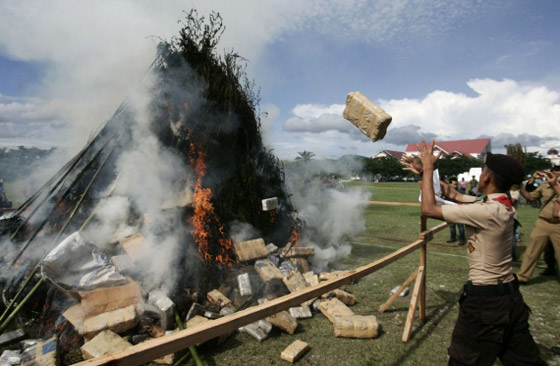 مفارقة عجيبة.. حرق الماريغوانا يدخل النشوة الى بيوت حي كامل!! صورة رقم 6 مفارقة عجيبة.. حرق الماريغوانا يدخل النشوة الى بيوت حي كامل!! صورة رقم 6