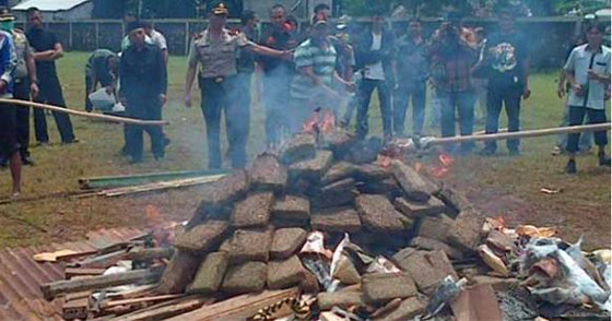 مفارقة عجيبة.. حرق الماريغوانا يدخل النشوة الى بيوت حي كامل!! صورة رقم 9 مفارقة عجيبة.. حرق الماريغوانا يدخل النشوة الى بيوت حي كامل!! صورة رقم 9
