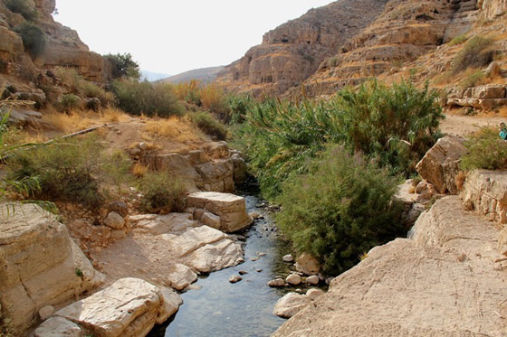 وادي القلط في اريحا يبتلع سائحة فرنسية هوت من اعاليه صورة رقم 1