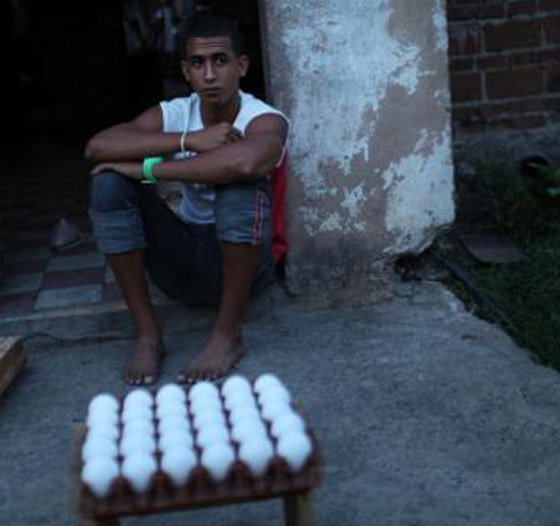 السجن لـ 20 شخصا اتهموا بسرقة 18 مليون بيضة صورة رقم 1 السجن لـ 20 شخصا اتهموا بسرقة 18 مليون بيضة صورة رقم 1