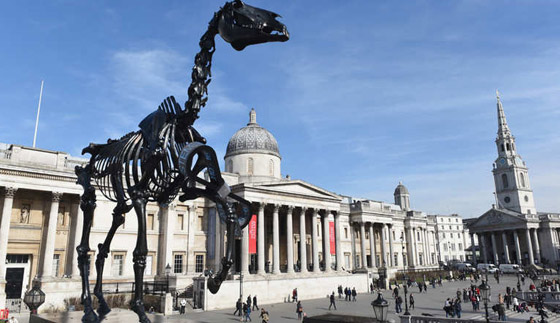 بالصور.. حصان بريطاني يمتطي سوق المال ويعرف اخباره اولا باول صورة رقم 1