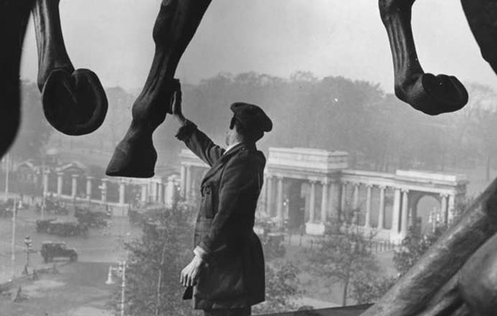 بالصور.. حصان بريطاني يمتطي سوق المال ويعرف اخباره اولا باول صورة رقم 7