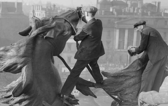 بالصور.. حصان بريطاني يمتطي سوق المال ويعرف اخباره اولا باول صورة رقم 8