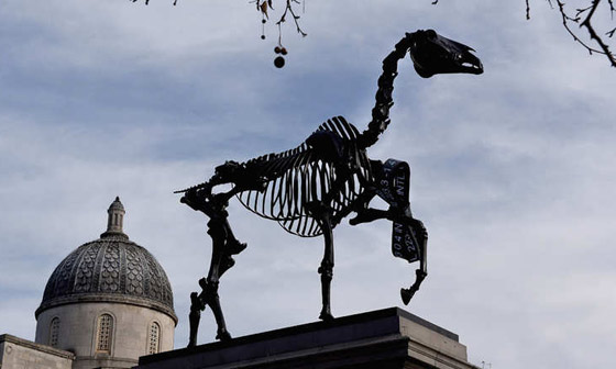 بالصور.. حصان بريطاني يمتطي سوق المال ويعرف اخباره اولا باول صورة رقم 5