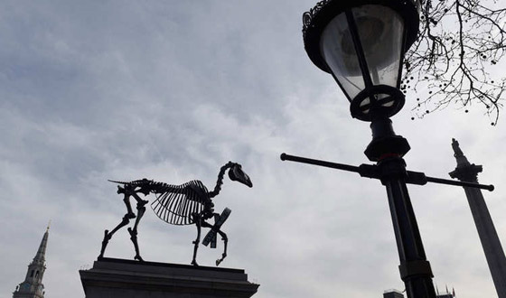 بالصور.. حصان بريطاني يمتطي سوق المال ويعرف اخباره اولا باول صورة رقم 6