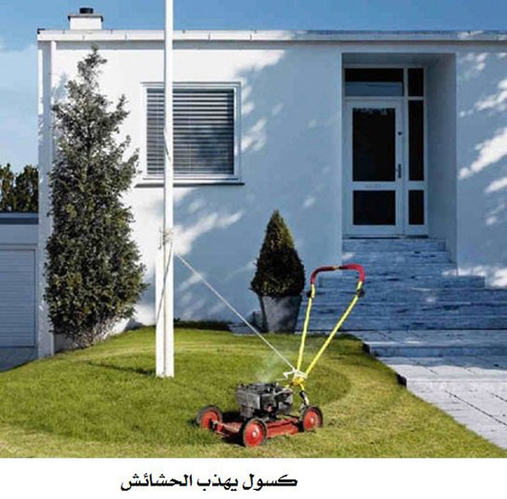 بالصور.. شاهد أكسل الناس في العالم كم هم مبدعون صورة رقم 3 بالصور.. شاهد أكسل الناس في العالم كم هم مبدعون صورة رقم 3