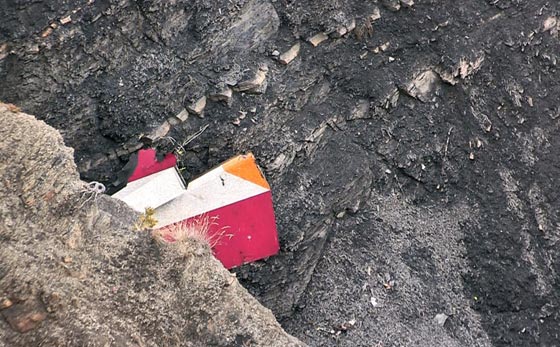 دقيقة اثر شقيقتها.. تابع لحظات الرعب والذهول قبل تحطم الالمانية صورة رقم 10