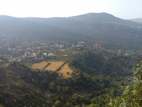 انتهاك حرمة كنيسة في جزين وتحويلها الى مرتع لعنزة صورة رقم 3