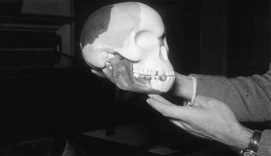 الاكاذيب تلون العالم.. اليكم اكبر الاكاذيب في التاريخ البشري صورة رقم 5