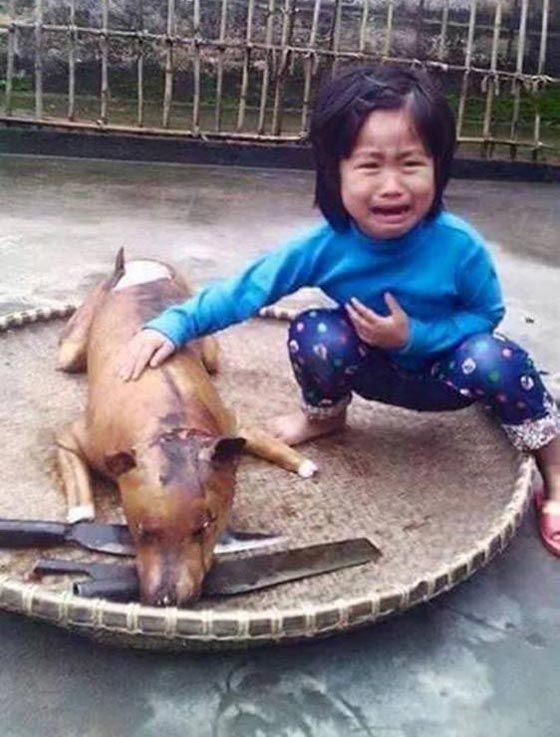 بكاء طفلة على كلبها المذبوح يستنفر العالم ضد اكلة لحوم الكلاب صورة رقم 1