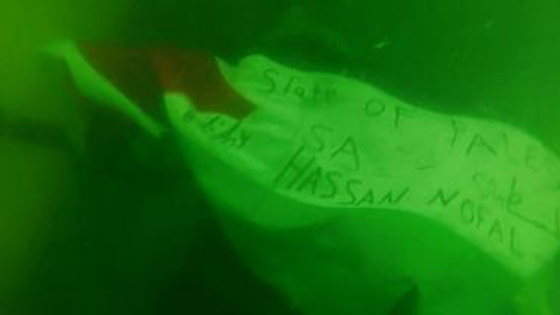 اعماق المحيط الهادي ترحب بالعلم الفلسطيني وتتراقص على انغامه صورة رقم 3