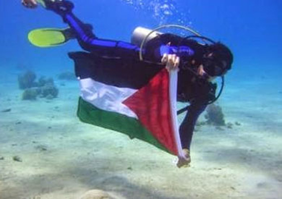 اعماق المحيط الهادي ترحب بالعلم الفلسطيني وتتراقص على انغامه صورة رقم 1
