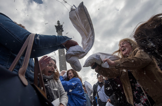 بالفيديو من لندن.. محاربون من نوع اخر يخوضون معارك الوسادات الطائرة صورة رقم 2