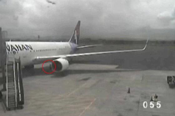 قضى ساعة مختبئا في عجلات طائرة مُقلعة دون ان يصاب باذى!! صورة رقم 2