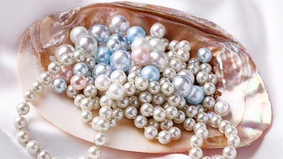 سحر امريكي.. وجبة عشاء تتحول الى وجبة من المحار صورة رقم 1