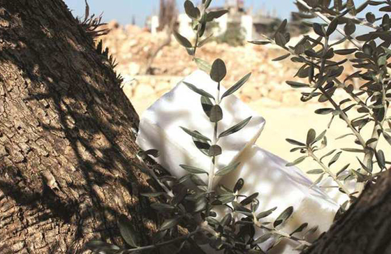 صور اغلى صابون في العالم من لبنان مصنوع من الذهب، العطور ومسحوق الماس  صورة رقم 11