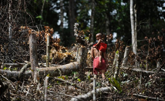 قبيلة فنزويلية تحير العلماء بقدرتها على مقاومة المضادات الحيوية صورة رقم 3 قبيلة فنزويلية تحير العلماء بقدرتها على مقاومة المضادات الحيوية صورة رقم 3