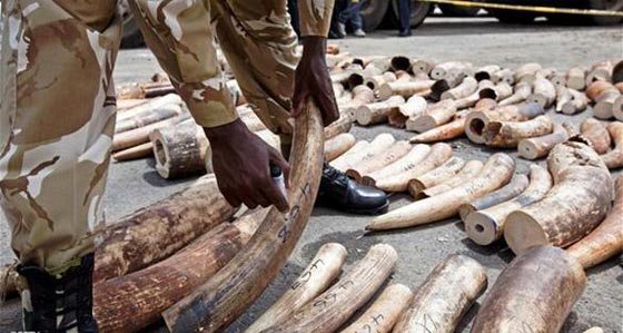 بالصور.. اكتشاف دلائل وجود تجارة بين اسيا وامريكا قبل كولومبوس صورة رقم 4 بالصور.. اكتشاف دلائل وجود تجارة بين اسيا وامريكا قبل كولومبوس صورة رقم 4